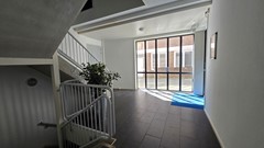 20250509_151813.jpg