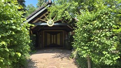 IMG-20250612-WA0015.jpg