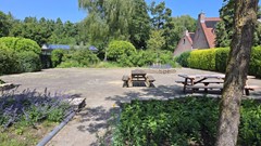 IMG-20250612-WA0018.jpg