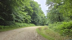 20250610_103629.jpg