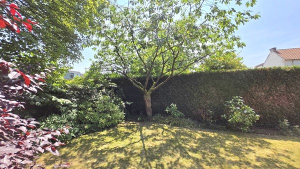 Medium property photo - Albert Cuypstraat 26, 6814 LD Arnhem
