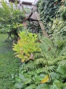 thumbnail_20250722_133253.jpg