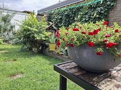 thumbnail_20250722_141504.jpg