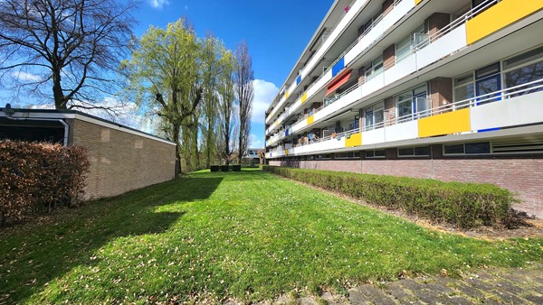 Medium property photo - Van Borselenstraat 172, 6826 NR Arnhem