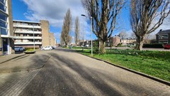 20250331_114018.jpg