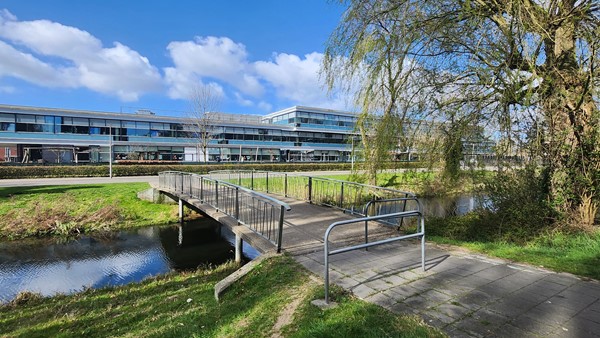 Medium property photo - Van Borselenstraat 172, 6826 NR Arnhem