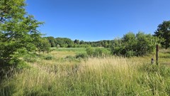 20250630_091056.jpg