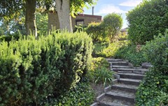 20250630_091426.jpg