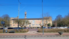 thumbnail_20250307_120337.jpg