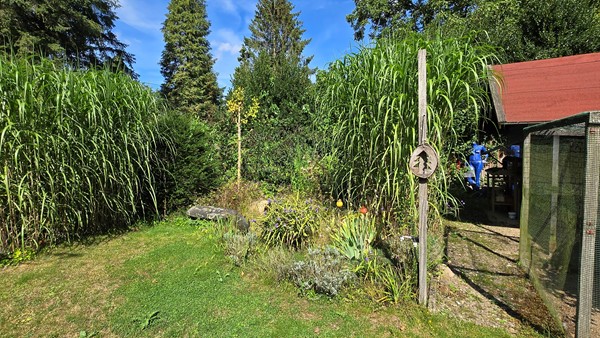 Medium property photo - Baron Van Brakelllaan 3, 6865 BZ Doorwerth