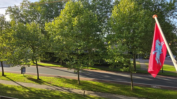 Medium property photo - Dillenburg 320, 6865 HT Doorwerth