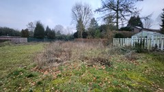 20250210_115938.jpg