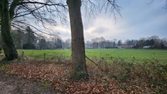 20250210_120124.jpg