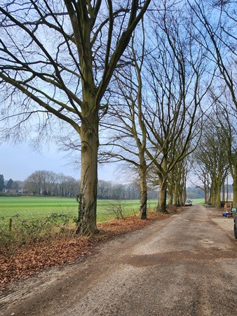 Medium property photo - Johannahoeve 1, 6861 WJ Oosterbeek