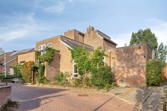 Te koop: Zeer speels en verrassend!