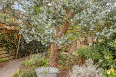 Esdoorndreef126871LHRenkumNL-38.jpg