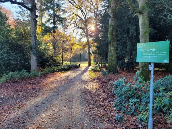 Medium property photo - Van Toulon van der Koogweg 32, 6862 EE Oosterbeek