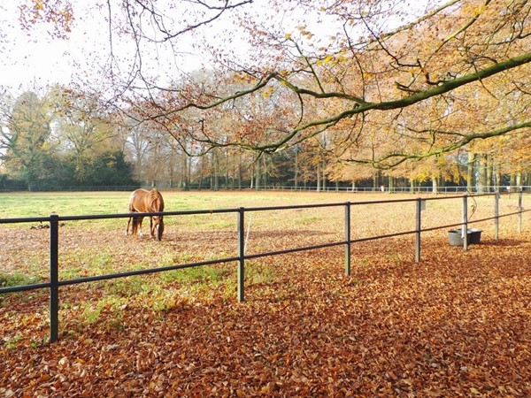 Medium property photo - Van Toulon van der Koogweg 32, 6862 EE Oosterbeek