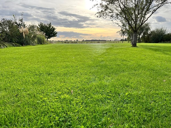 Medium property photo - Homoetsestraat 33, 6676 LB Homoet