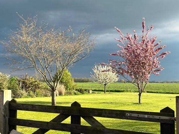 Medium property photo - Homoetsestraat 33, 6676 LB Homoet