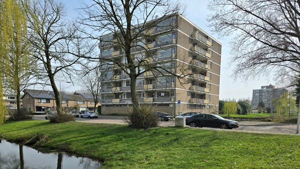 Te koop: Ruim 3-kamer appartement met twee balkons