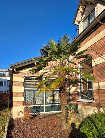 Medium property photo - Utrechtseweg 85, 6862 AD Oosterbeek