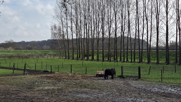 Medium property photo - Groeneweg 2A, 6871 DD Renkum