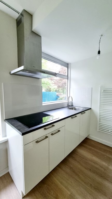 Parallelweg, Wolfheze foto 5