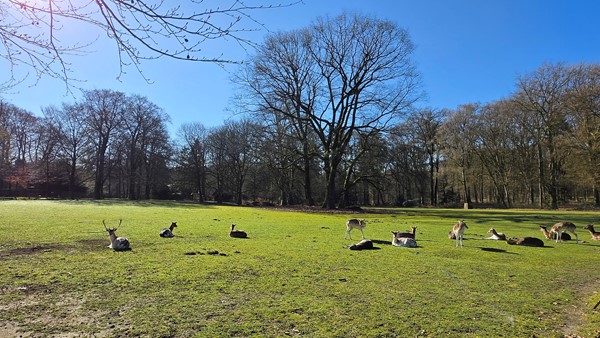 Medium property photo - Mariaweg 35, 6861 DP Oosterbeek