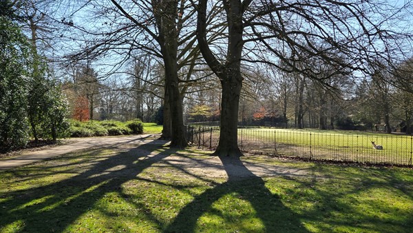 Medium property photo - Mariaweg 35, 6861 DP Oosterbeek