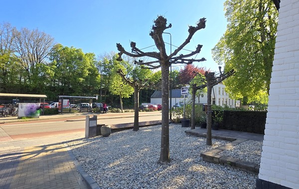 Medium property photo - Dorpsstraat 147, 6871 AG Renkum