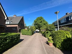 e1846953-baa6-4a0b-a316-427062ebcbe5.jpg