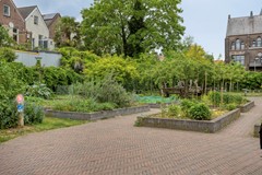 DeWiltstraat286821CEArnhem-35.jpg