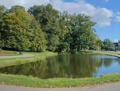 sonbeek.jpg