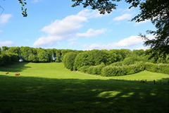 Mariendael.png