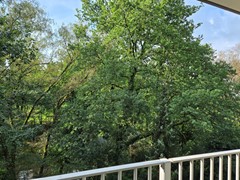 20260902_100938.jpg