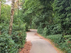 20260902_100046.jpg