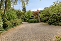 LamanTripplantsoen186865CSDoorwerthNL-03.jpg