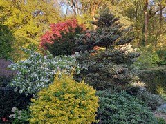 20260424_192750.jpg