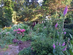 20260623_201058.jpg