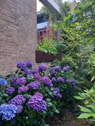 20260716_183641.jpg