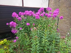 20260805_120924.jpg