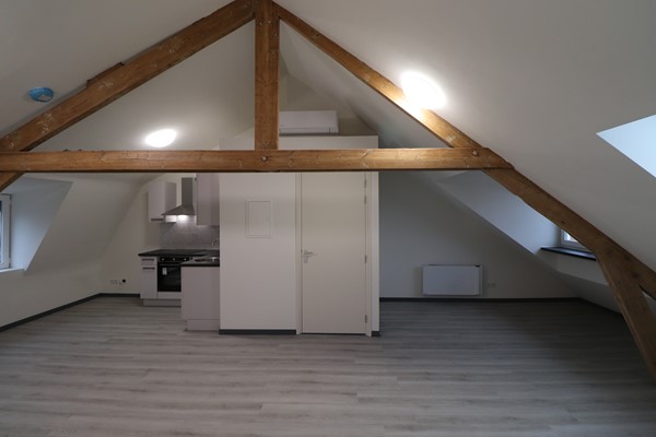 Rented: SPACIOUS NEW CONSTRUCTION STUDIO APARTMENT for rent at the KONINGIN EMMAPLEIN in the center of MAASTRICHT!