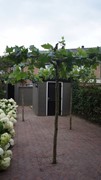 Meerssenerweg 253C, 6224 AG Maastricht 