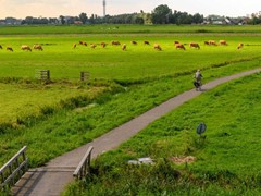 polder.jpg