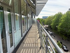 IMG_7399.JPEG