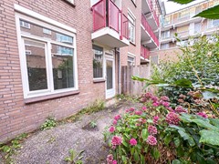 image00006.jpg