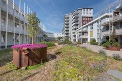 For sale: Polderweg 202, 1093 KP Amsterdam