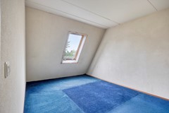 Hegdambroek25526546WPNijmegen-15.jpg