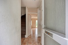 Hegdambroek25526546WPNijmegen-04.jpg